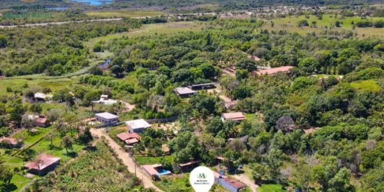 Preso casal apontado como autor de assassinato de advogado em Guarapari Preso casal apontado como autor de assassinato de advogado em Guarapari