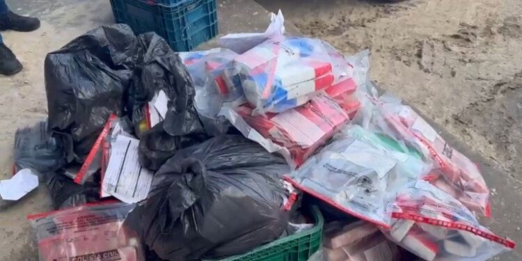 Polícia Civil destrói cerca de 300 quilos de drogas apreendidas em São Mateus