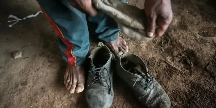 Senado aprova proteção a trabalhadores resgatados de trabalho escravo Senado aprova proteção a trabalhadores resgatados de trabalho escravo