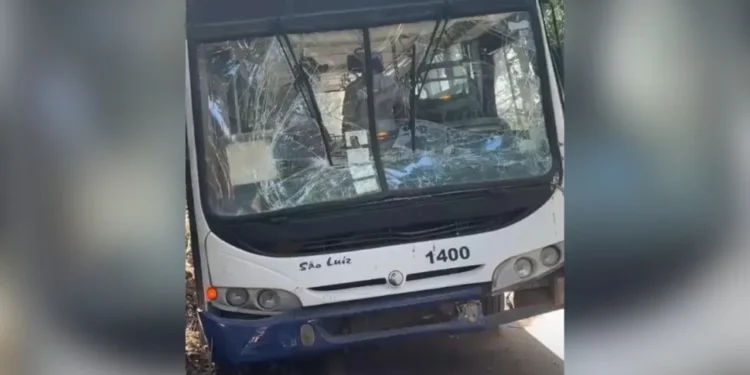 Doze crianças ficam feridas após ônibus escolar bater na traseira de carreta em Pancas Doze crianças ficam feridas após ônibus escolar bater na traseira de carreta em Pancas