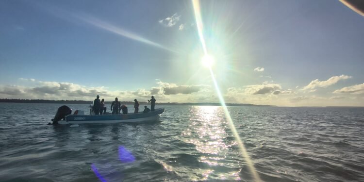 Governo acompanha monitoramento de lagoas de Linhares, Sooretama e Rio Bananal Governo acompanha monitoramento de lagoas de Linhares, Sooretama e Rio Bananal