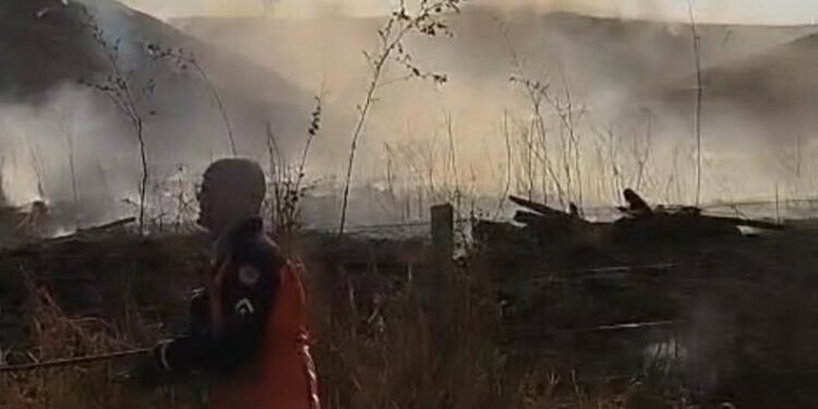 Incêndio se espalha por área de pastagem em Barra de São Francisco Incêndio se espalha por área de pastagem em Barra de São Francisco