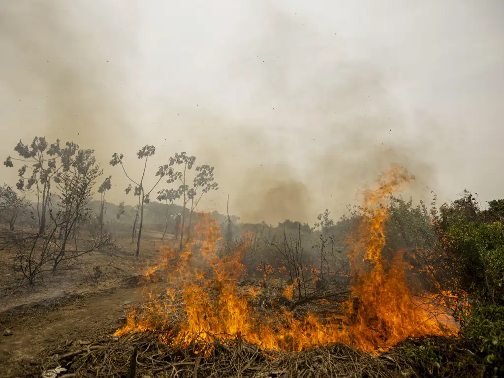 Foto: Joédson Alves/Agência Brasil Foto: Joédson Alves/Agência Brasil