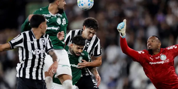 Botafogo segura Palmeiras e ajuda Flamengo, novo líder do Brasileirão Botafogo segura Palmeiras e ajuda Flamengo, novo líder do Brasileirão