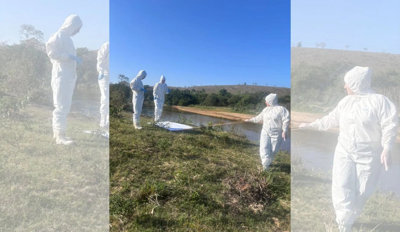 Febre maculosa: Boa Esperança confirma 3º caso e investiga áreas com carrapatos Febre maculosa: Boa Esperança confirma 3º caso e investiga áreas com carrapatos